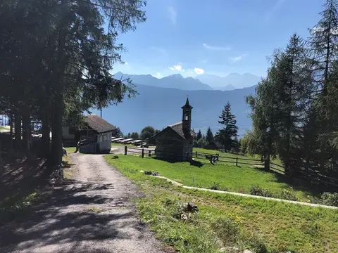 La strada sterrata e la cappella di Aleccio tra gli alberi