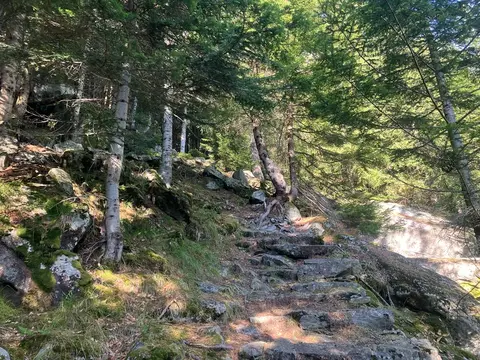I gradini di pietra nel bosco