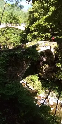 Un vecchio ponte in pietra nel bosco