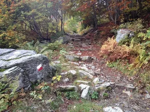 La mulattiera nel bosco in autunno