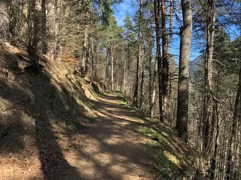 Il sentiero nel bosco verso Coimo