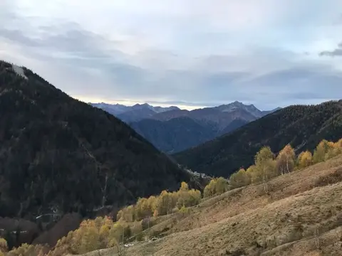 I larici in autunno sopra l'alpe Borca