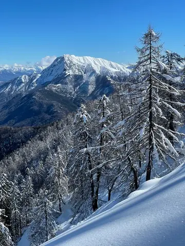 Larici innevati e montagne d'inverno
