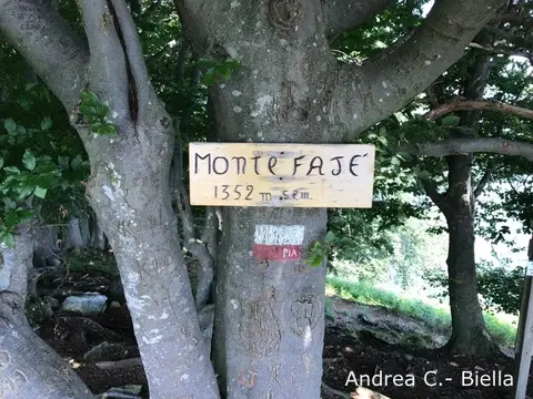 Il cartello di legno del monte Faiè, 1352 m, su un faggio