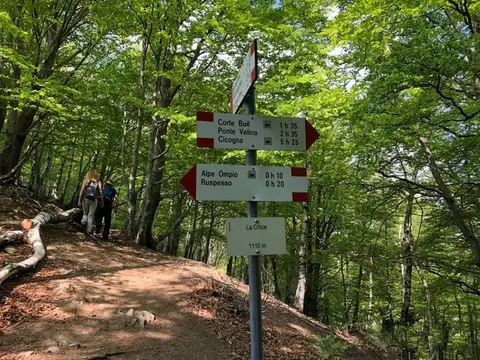 Il palo segnaletico in località La Croce, nel bosco