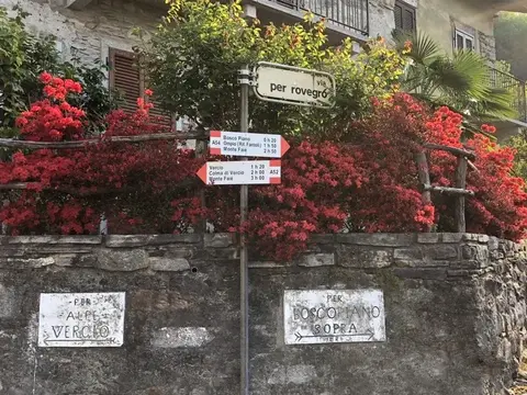 I cartelli all'incrocio di Bracchio tra le azalee fiorite