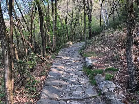 La mulattiera lastricata che sale nel bosco verso Vercio