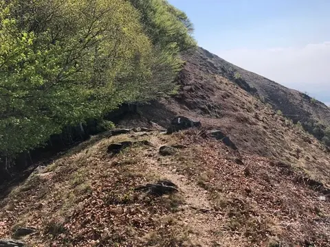 La cresta erbosa che sale verso il monte Faiè