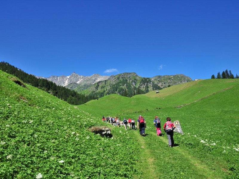Escursione guidata Zwischbergental, per gruppi e privati