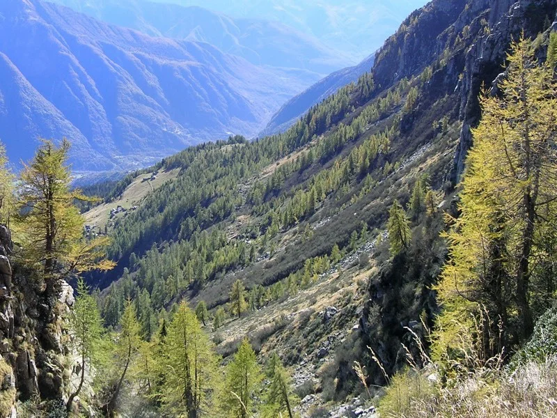 Escursione al passo di Brumei o di Deccia