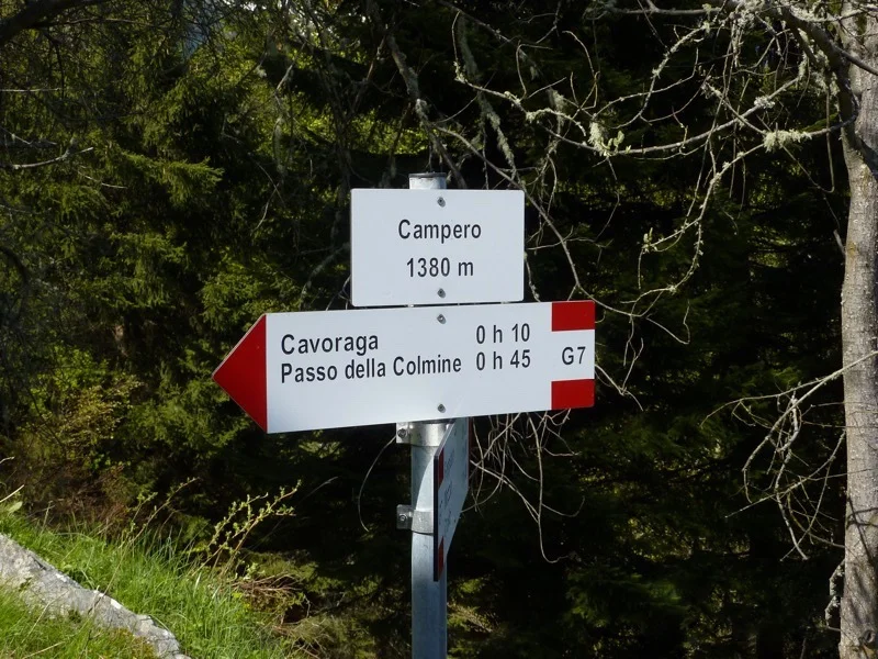 alpe campero