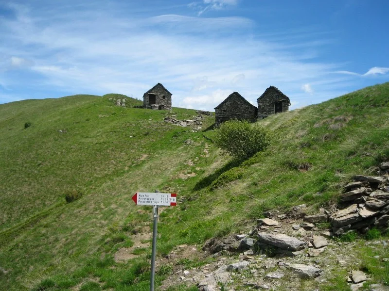 alpe della colma