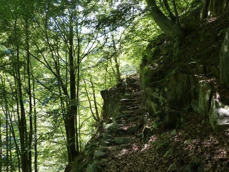 sentiero alpe lavazzero