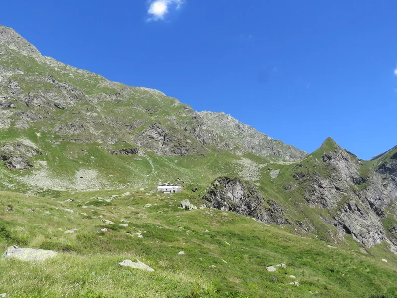 Escursione alpe Lavazzero da Barzona in valle Anzasca