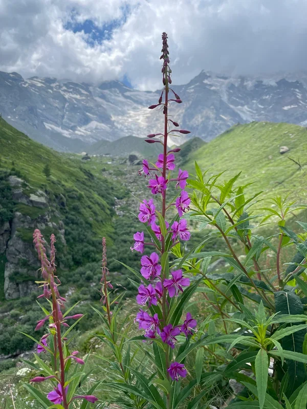 lago delle Locce