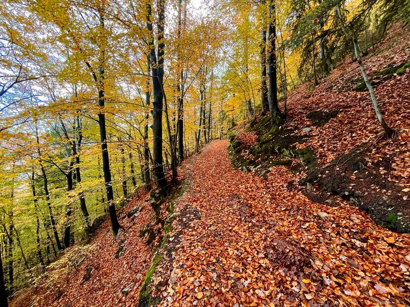 sentiero cima Lairè