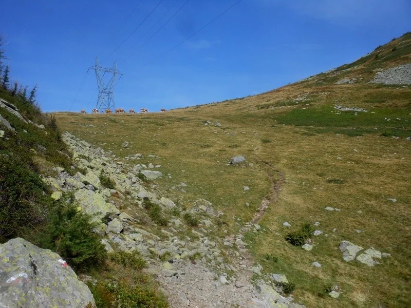 Escursione al passo del Monscera in alta val Bognanco