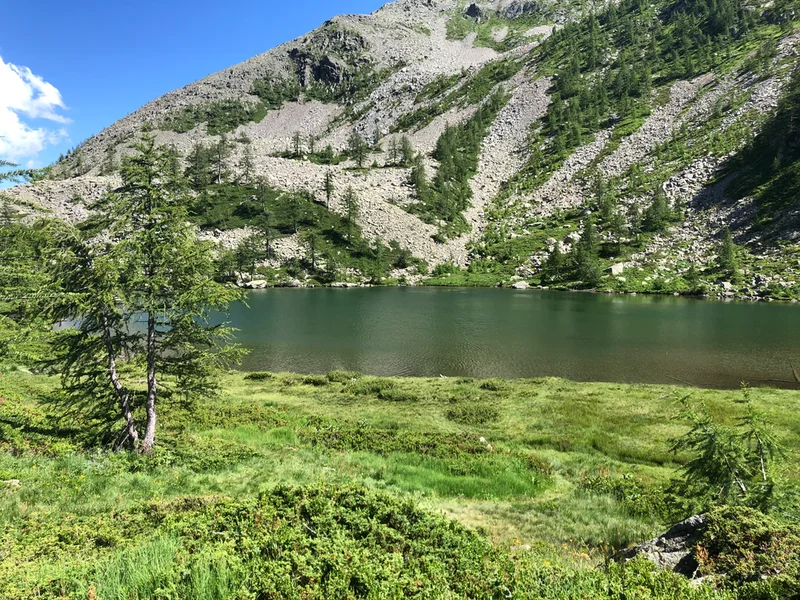 lago monscera