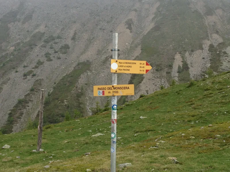 passo monscera