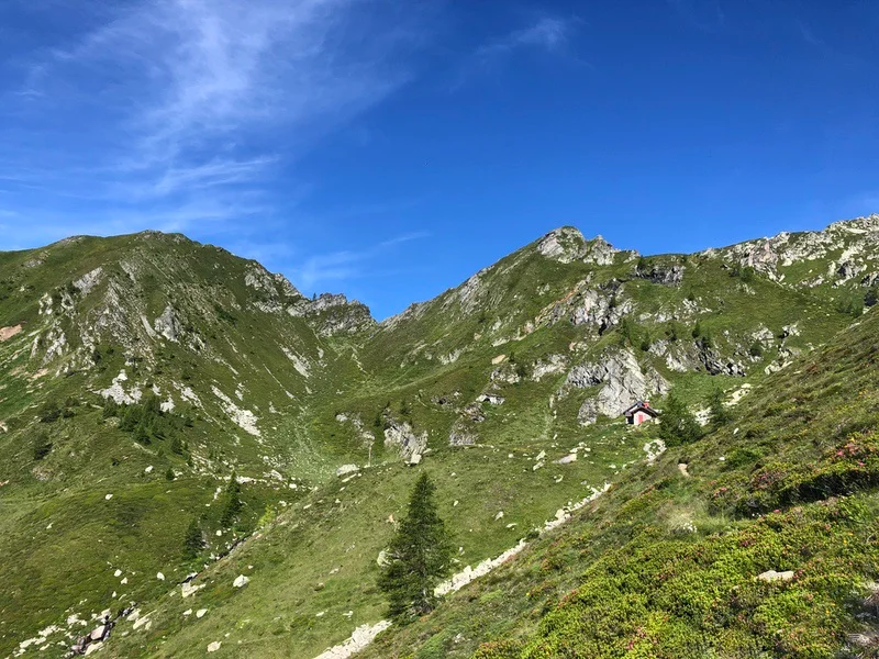 passo di campo