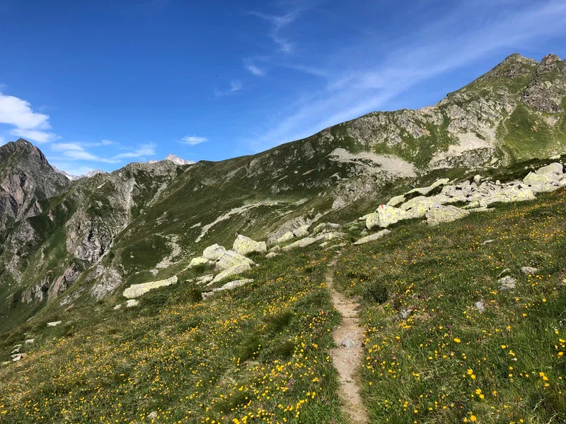 sentiero passo pontimia