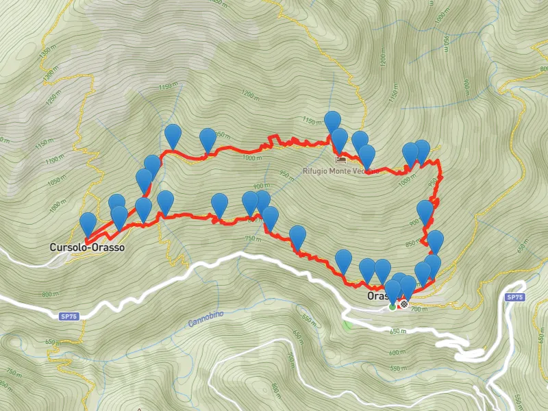 mappa Via Borromea