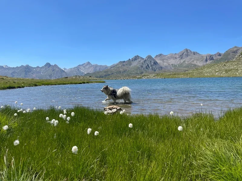 Escursione laghi Boden val Formazza