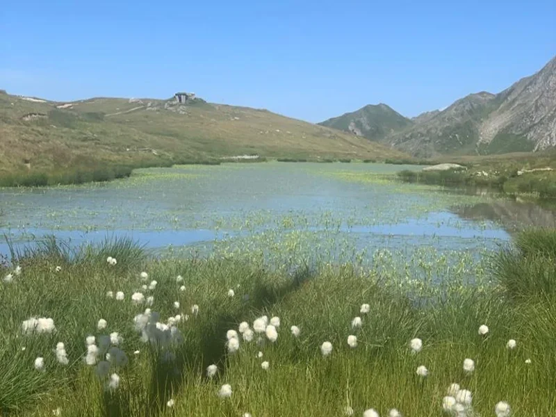 laghi Boden