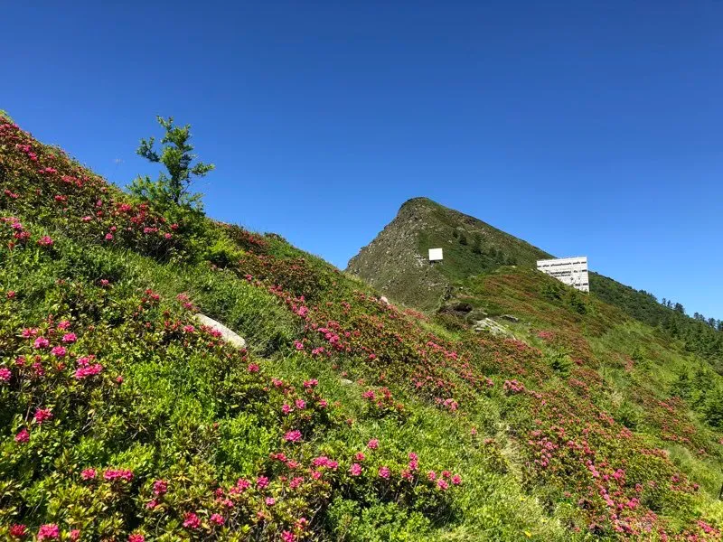 Escursione al Pizzo delle Pecore