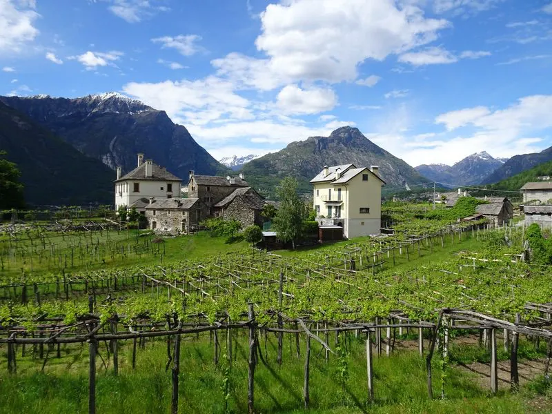 Escursione sugli antichi terrazzamenti dei vigneti di Pello