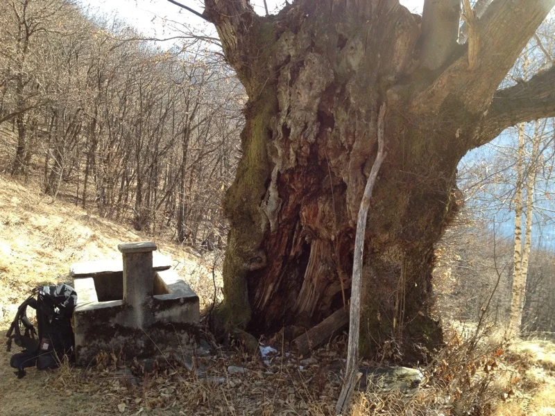 Escursione ad anello Masera - Travello e alpe Pescia