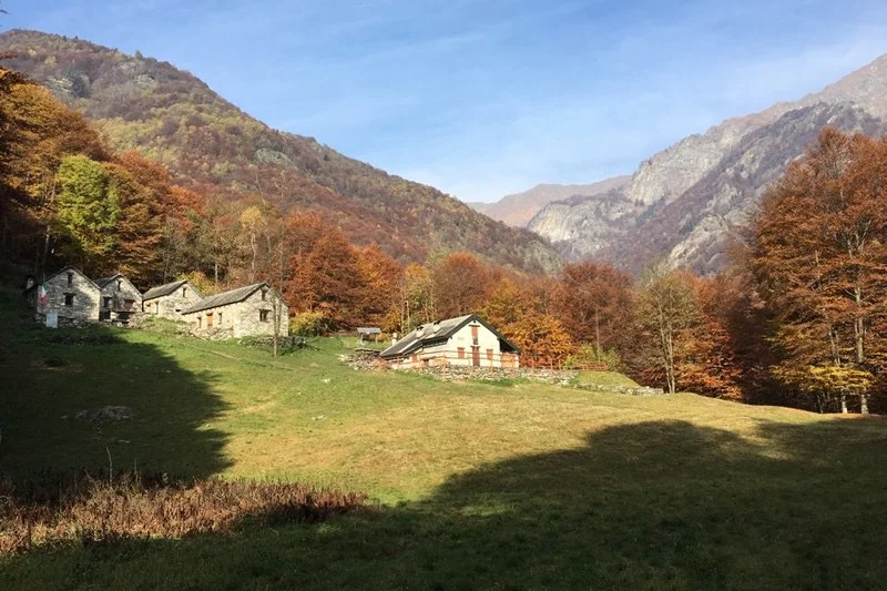 Traversata della Val Grande da Scaredi alla Colma