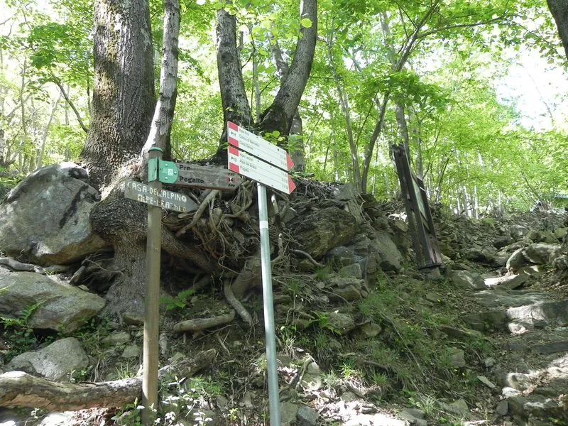 Escursione sui versanti di Cicogna in Val Grande