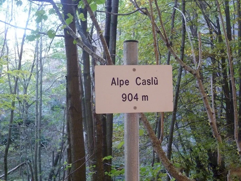 alpe caslu