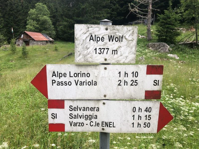 alpe wolf