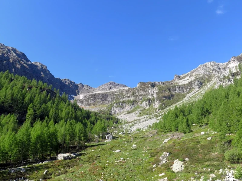 Escursione sugli alpeggi dell’Albiona e passo Variola