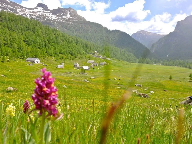 Escursione a Le Caldaie in alpe Veglia