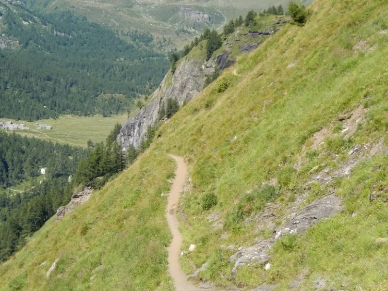 Escursione da Ciamporino all’alpe Veglia - il sentiero dei fiorni