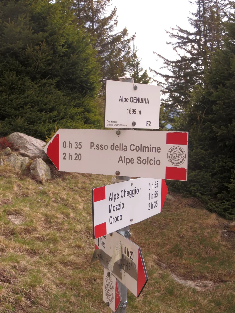 alpe genuina