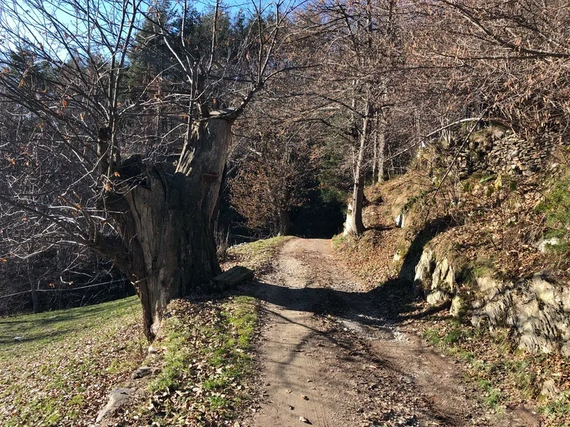 sentiero Druogno Coimo