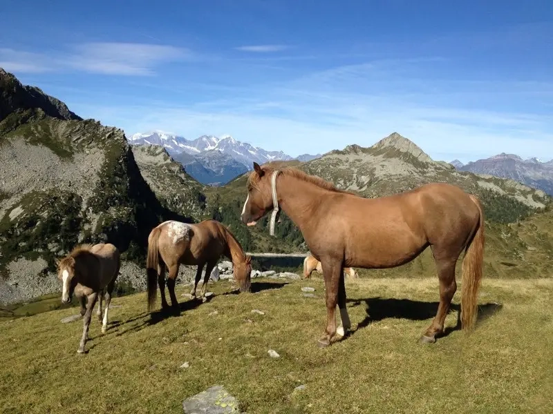 Valle Vigezzo