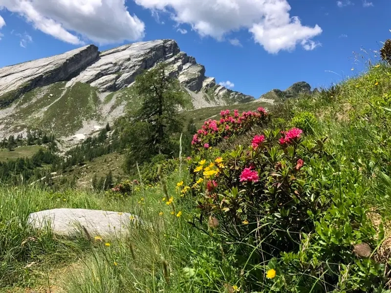 sentiero pizzo ruggia