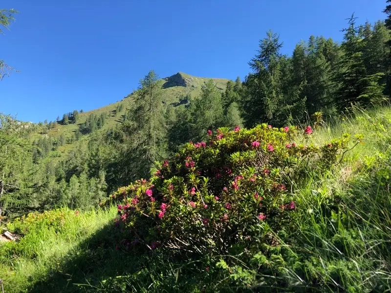 sentiero pizzo ruggia