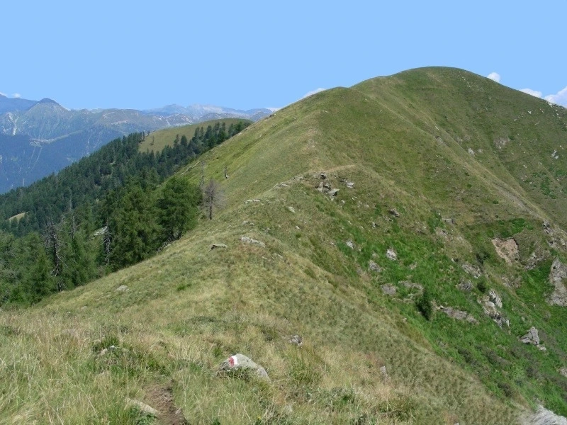 Escursione alla Testa del Mater dall'alpe Cortino