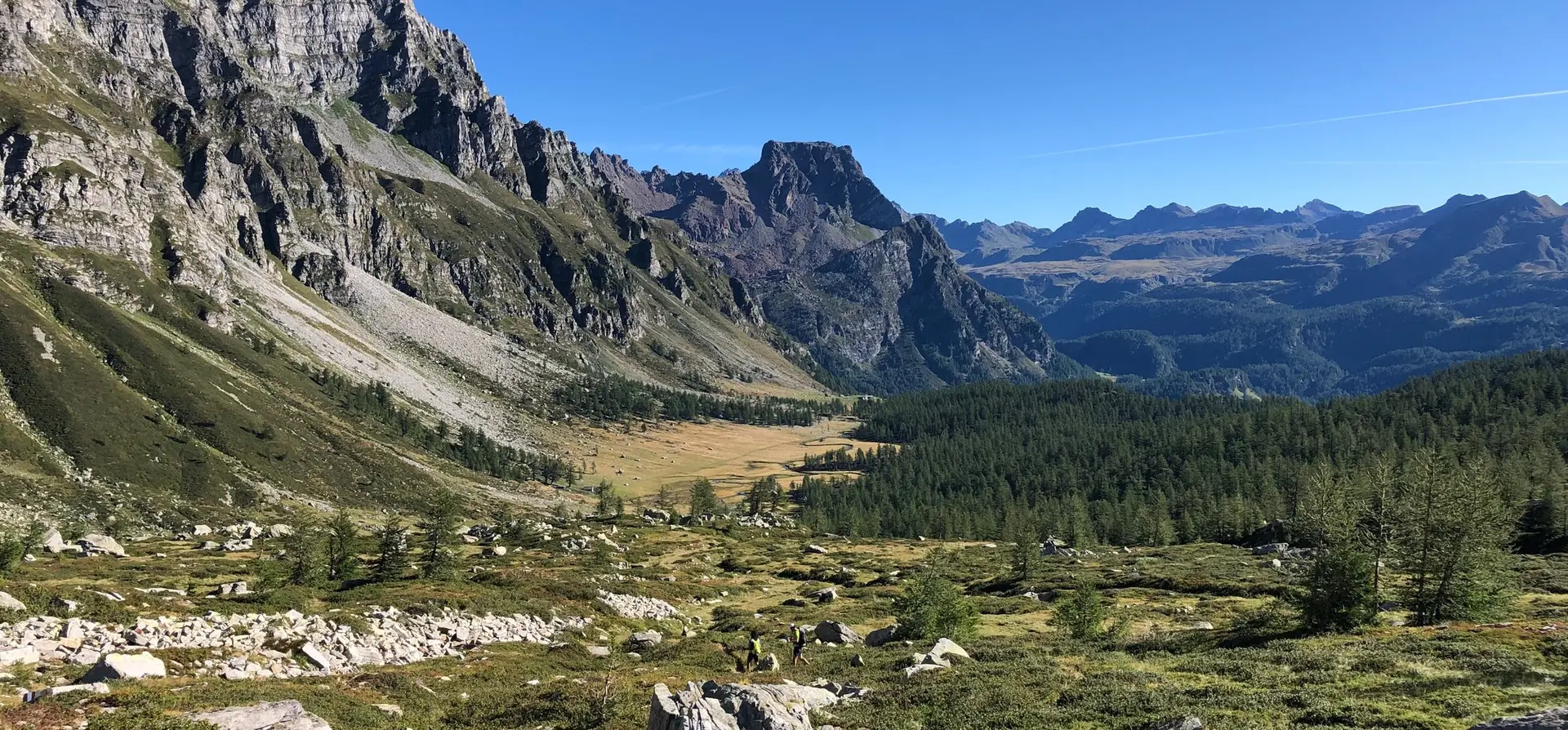 Pascoli e boschi di larici in val Buscagna, lungo la traversata dall'Alpe Veglia all'Alpe Devero
